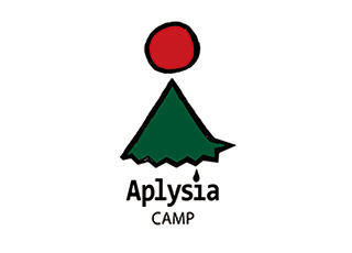 Aplysia CAMP