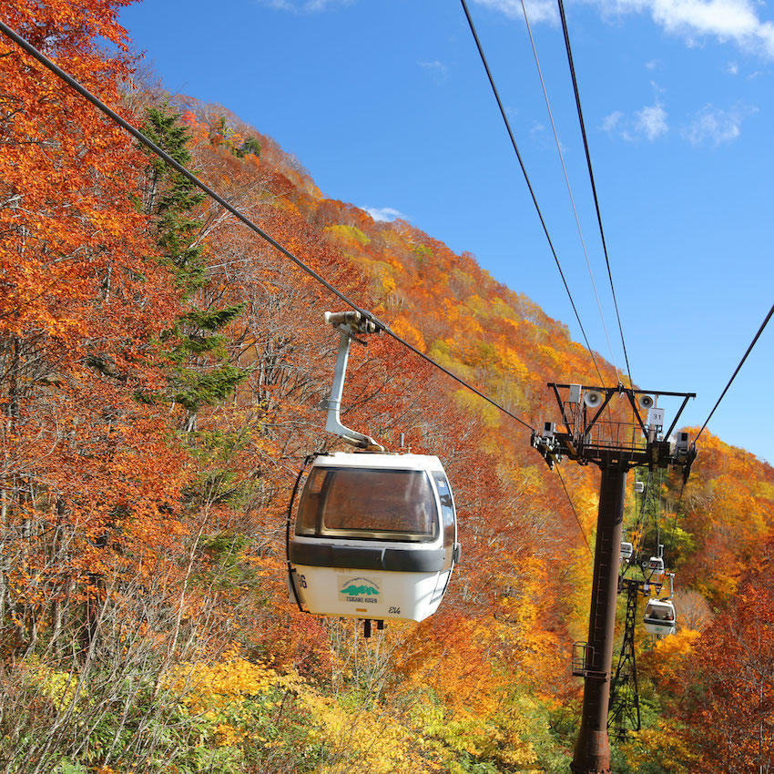 つがいけマウンテンリゾート