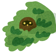 フクロウ