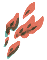 焚火