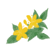 イラスト