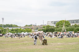 OUTDOOR PARK 2025