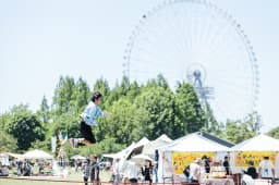 OUTDOOR PARK 2026